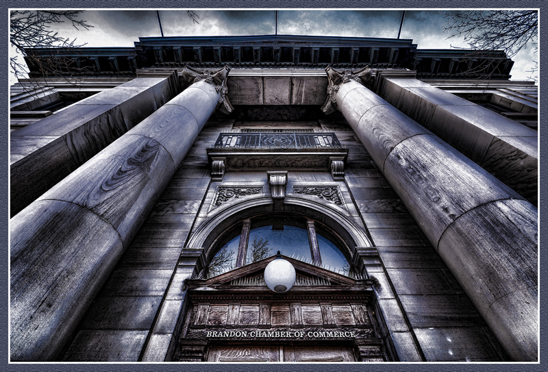 Looking Up by Pat